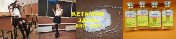 крисы Алзамай