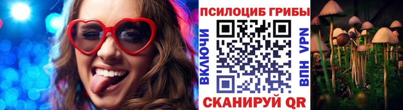 Галлюциногенные грибы ЛСД  Лодейное Поле 